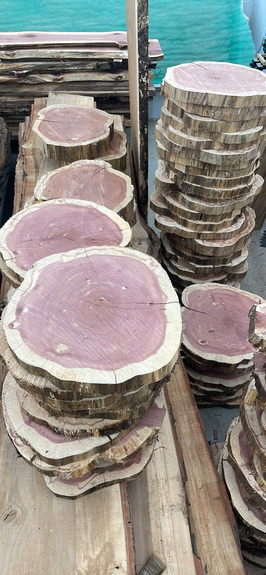 Cedar rounds - 13”-15” diameter