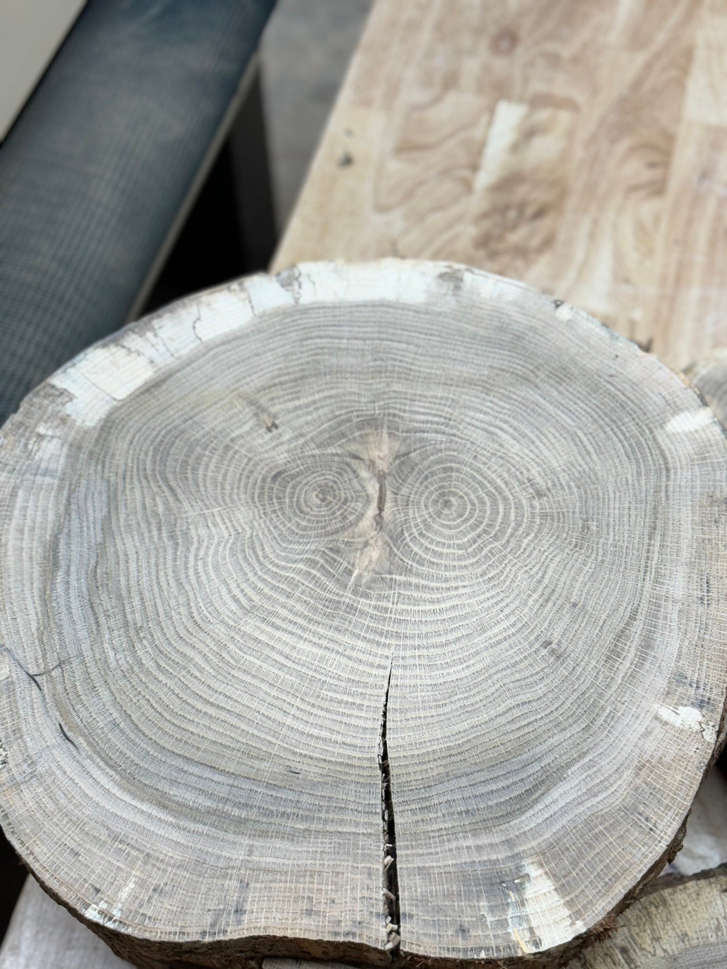 White Oak 17”-19” rounds- Live edge, kiln dried