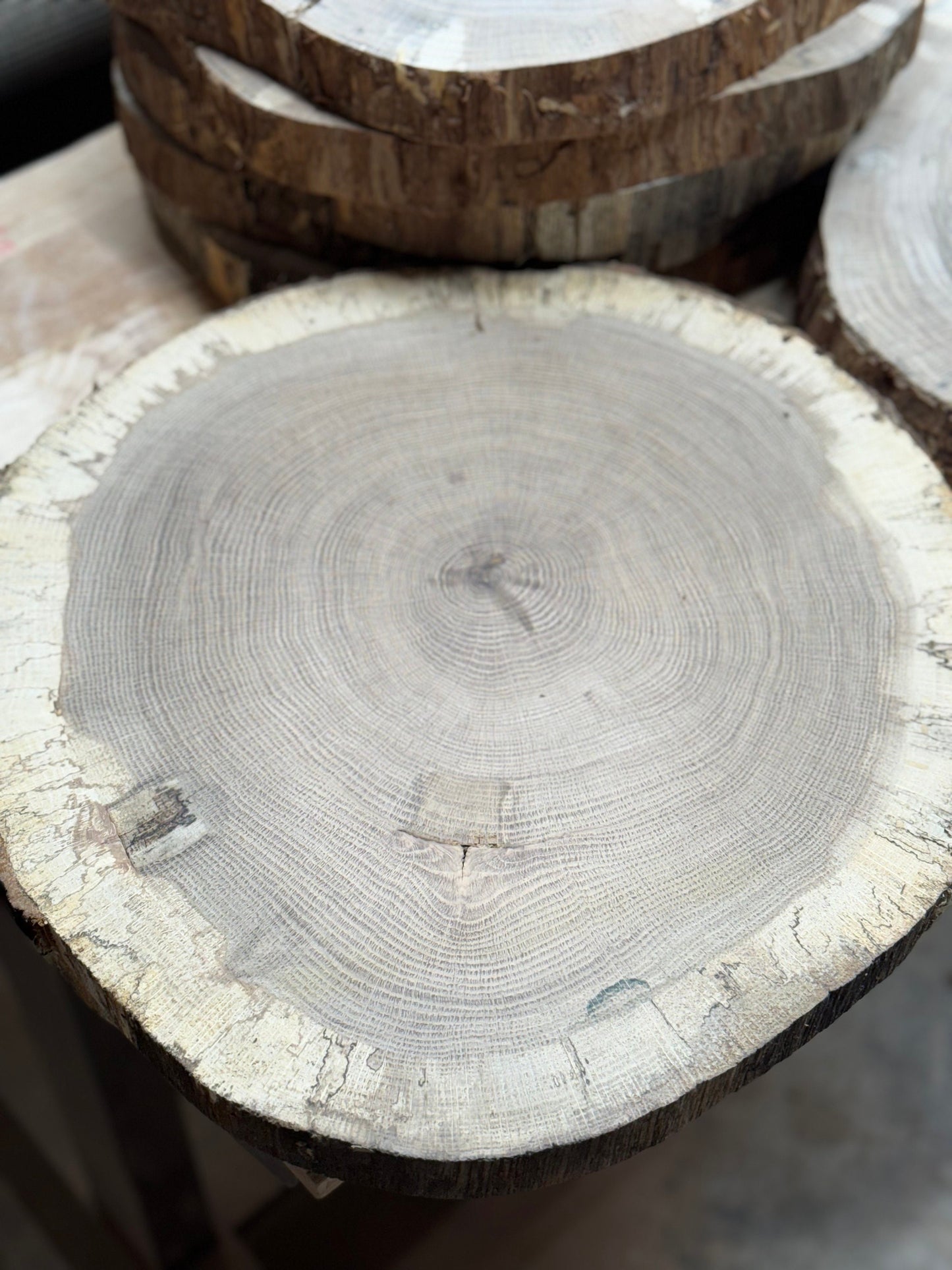 White Oak 17”-19” rounds- Live edge, kiln dried