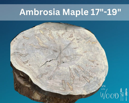 Ambrosia maple 17”-19” rounds- Live edge, kiln dried