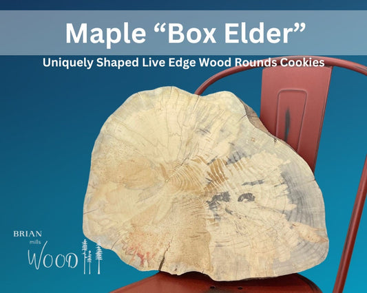 Maple Box Elder uniquely shaped wood round cookie live edge
